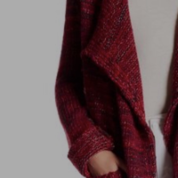 ZADIG & VOLITAIRE DAPHNEE PEGASUS CARDIGAN ~ NWT - Picture 4 of 5